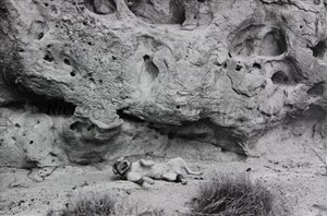 Image description is not available for 2016.054